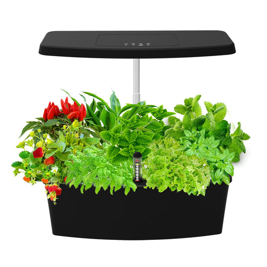 Fresh Herbs and Salads On Your Countertop!