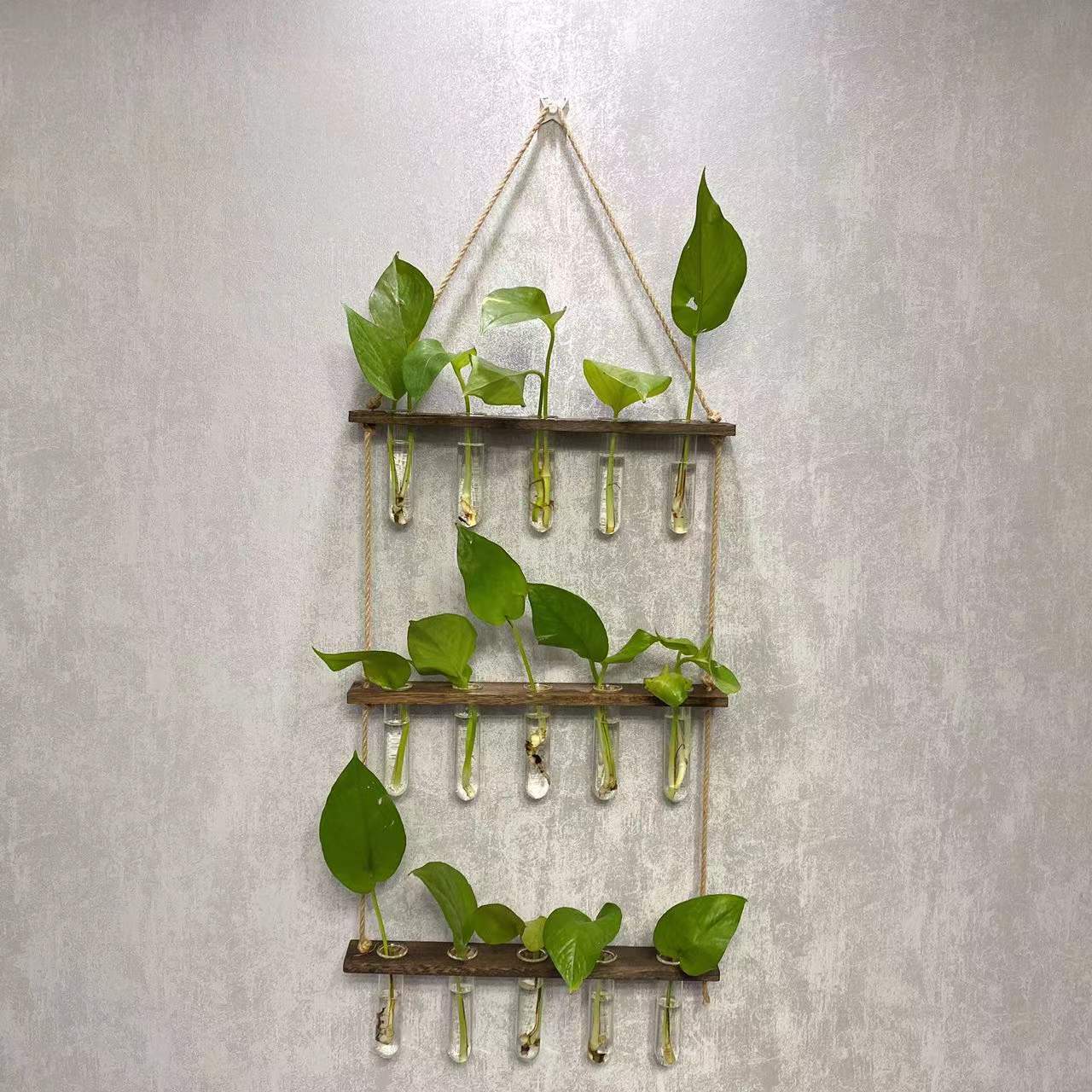 Hanging Gardens:  Propagation Station