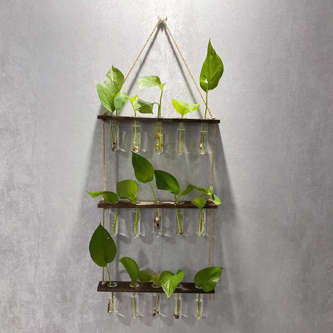 Hanging Gardens:  Propagation Station