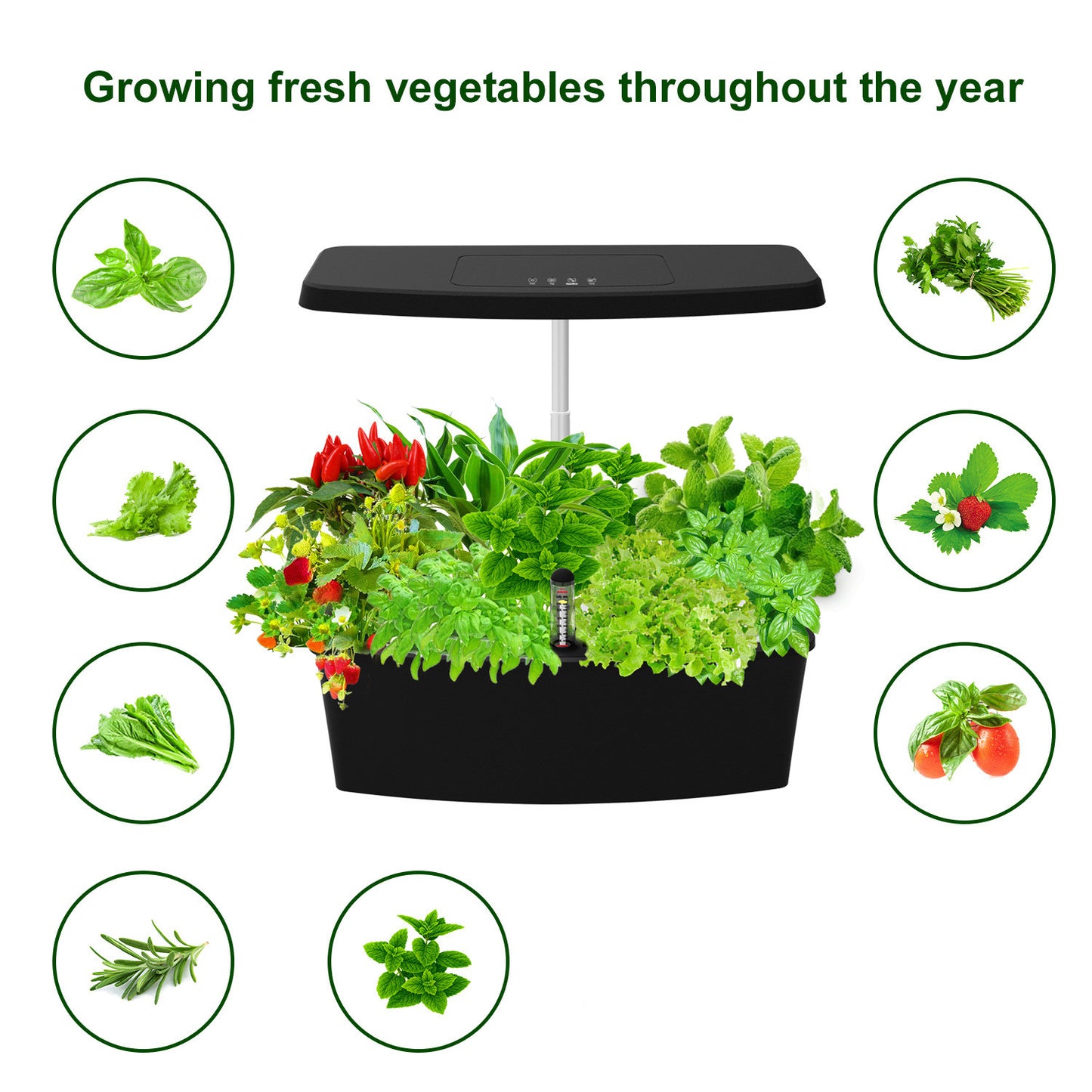 Smart Indoor Salad Planter and Herb Growing Kit