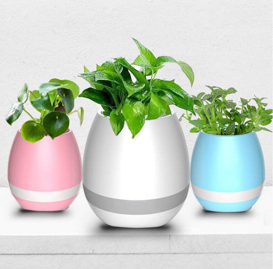 Bluetooth Speaker & Flowerpot Combo