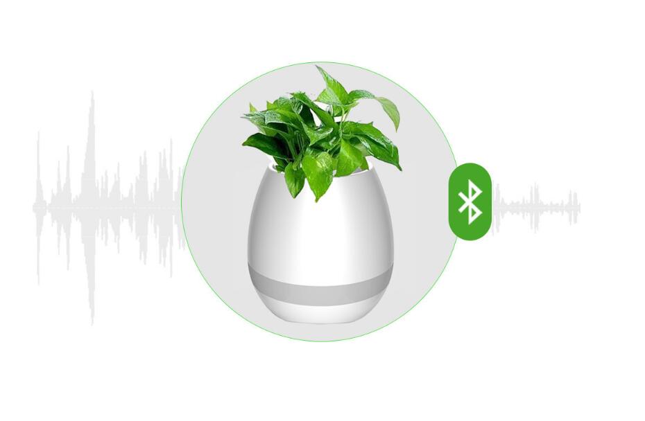 Bluetooth Speaker & Flowerpot Combo