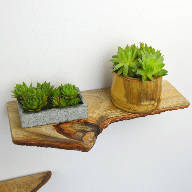 Natural Wood Slab Shelf