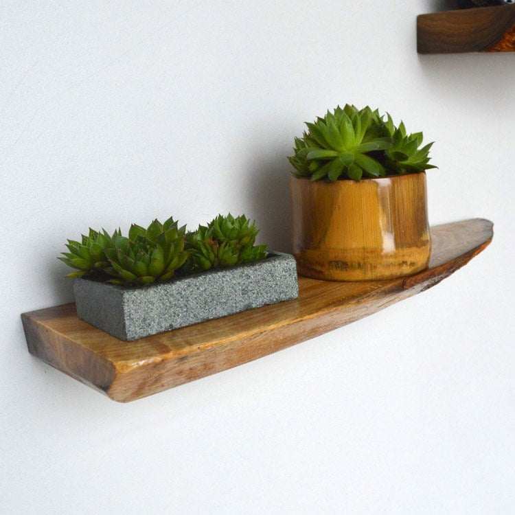 Natural Wood Slab Shelf