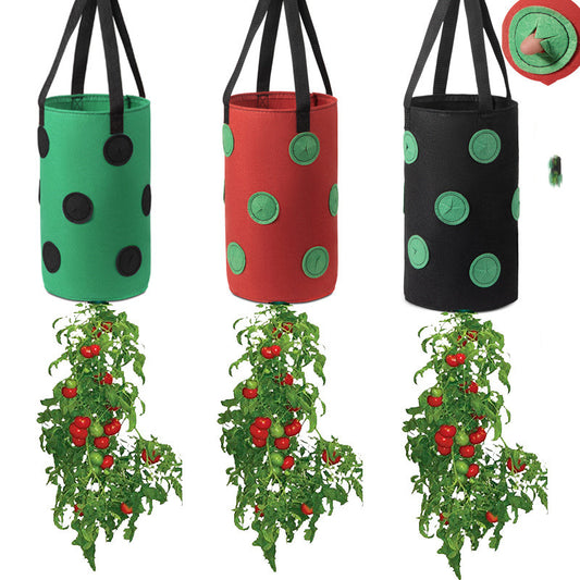 Strawberries Anywhere!  Vertical Grow Bag