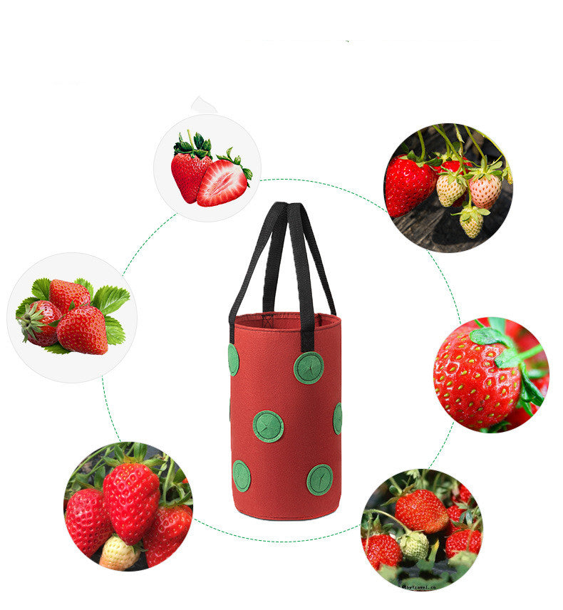 Strawberries Anywhere!  Vertical Grow Bag