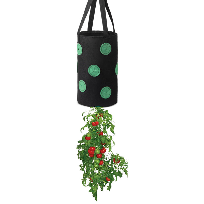 Strawberries Anywhere!  Vertical Grow Bag