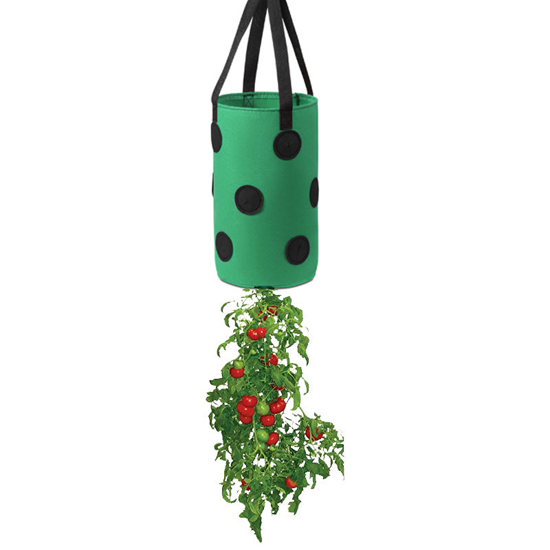 Strawberries Anywhere!  Vertical Grow Bag