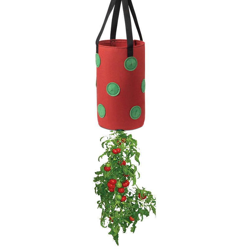 Strawberries Anywhere!  Vertical Grow Bag