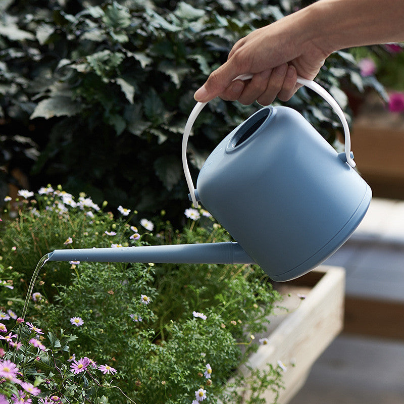 Brushed with Style: Large Watering Can