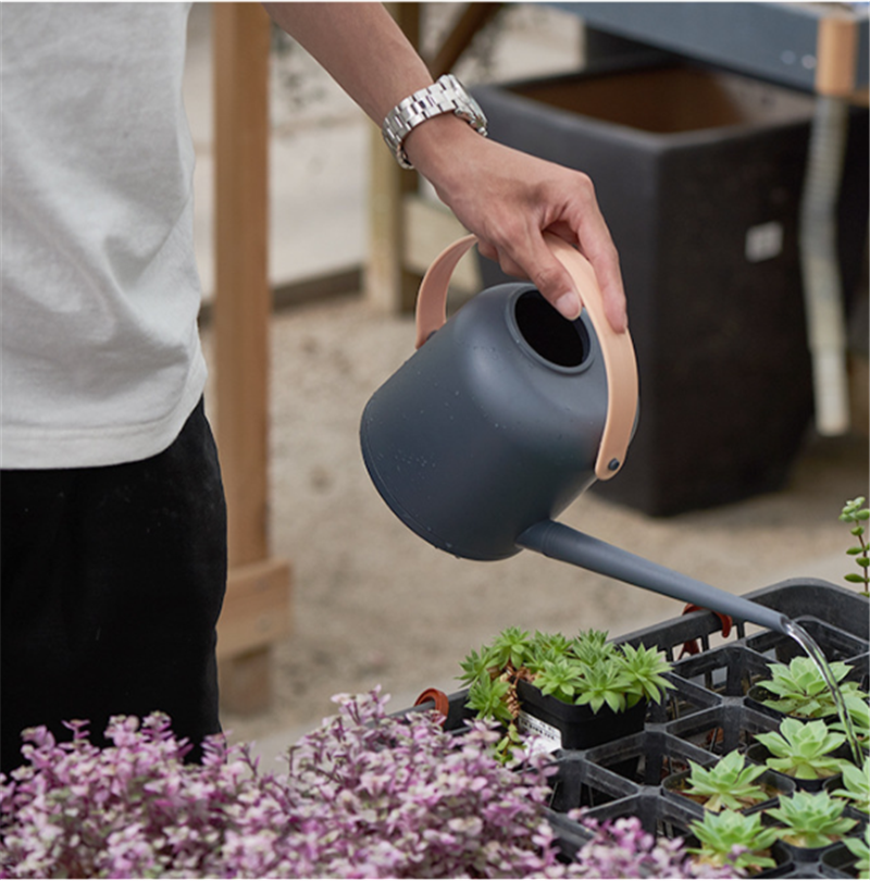 Brushed with Style: Large Watering Can