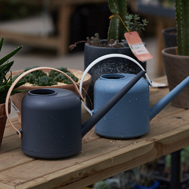 Brushed with Style: Large Watering Can