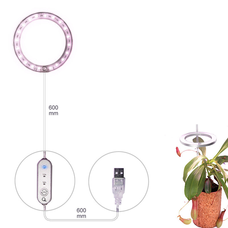 Angel Ring: Personal Grow Lights