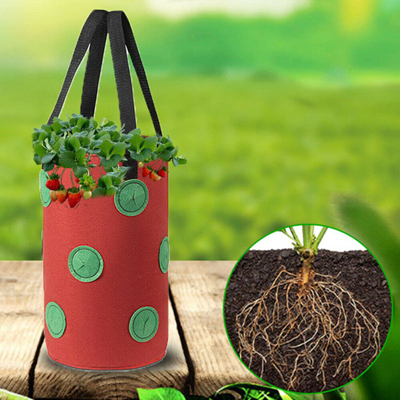 Strawberries Anywhere!  Vertical Grow Bag