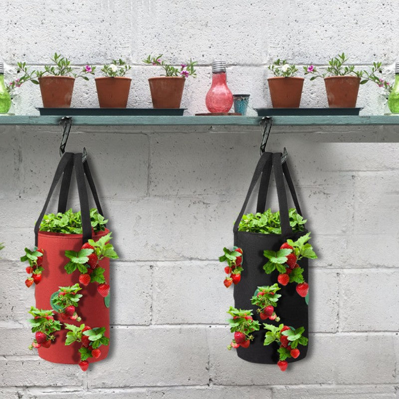 Strawberries Anywhere!  Vertical Grow Bag