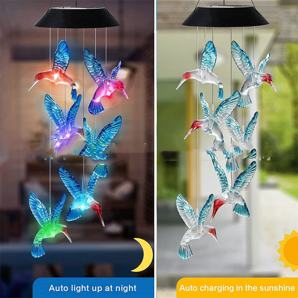 Hummingbird Designs: Solar Lights