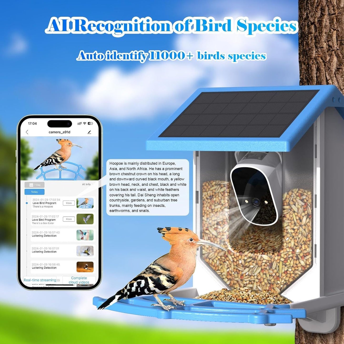 Smart Solar-Powered Bird Feeder With Camera