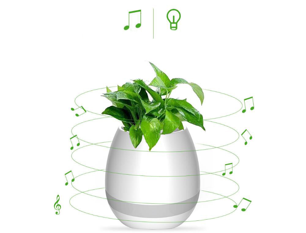 Bluetooth Speaker & Flowerpot Combo