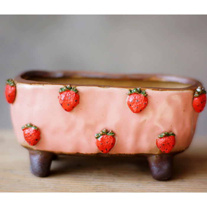 Strawberries and Springtime: Stoneware Succulent Plant Pot