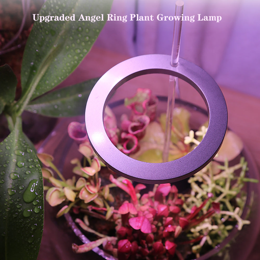 Angel Ring: Personal Grow Lights