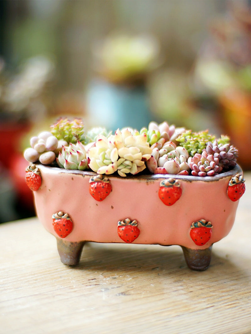 Strawberries and Springtime: Stoneware Succulent Plant Pot