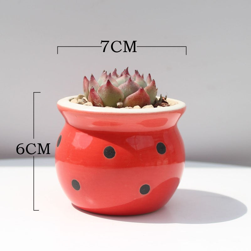 Little Dots: Ceramic Flower Pots