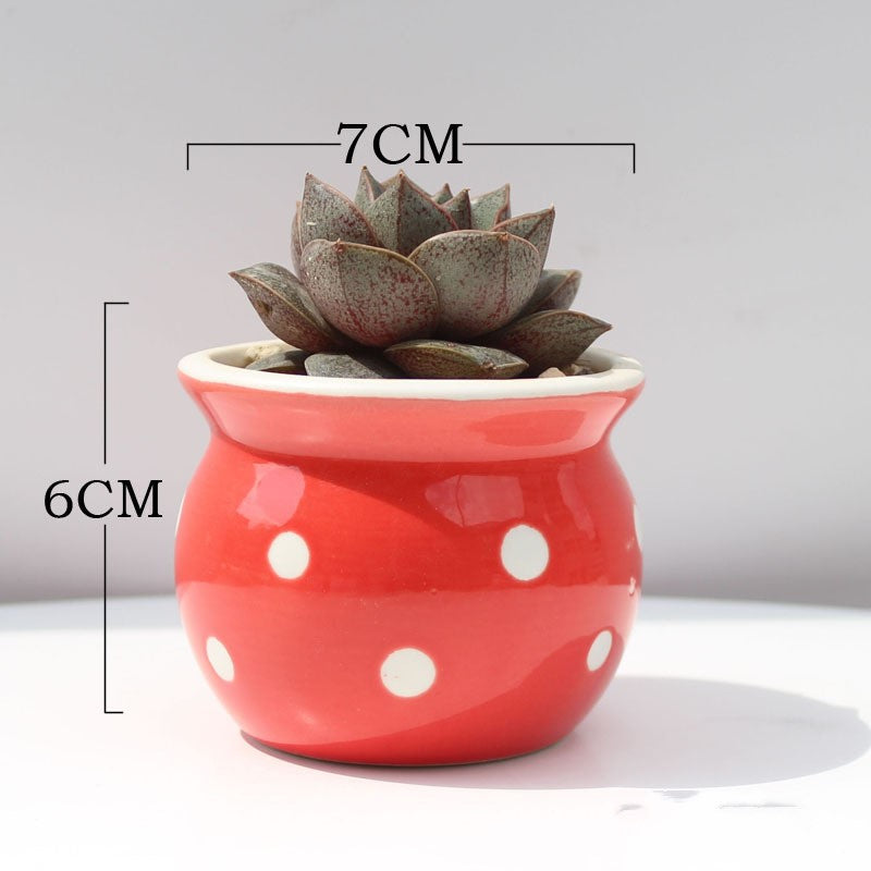 Little Dots: Ceramic Flower Pots