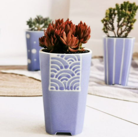 Zen Doodles Ceramic Succulent Flower Pot