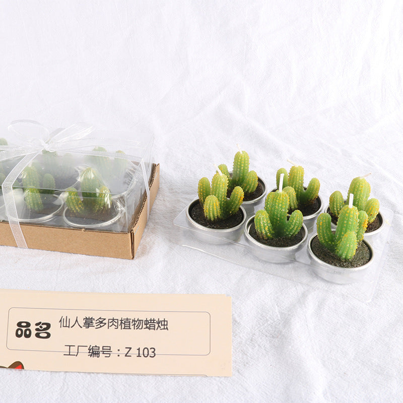 Succulent Cactus Candles