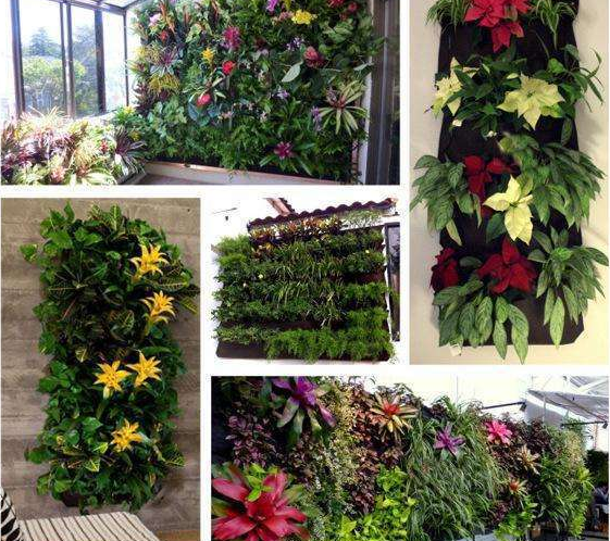 Wall Gardens: Hanging Vertical Planter