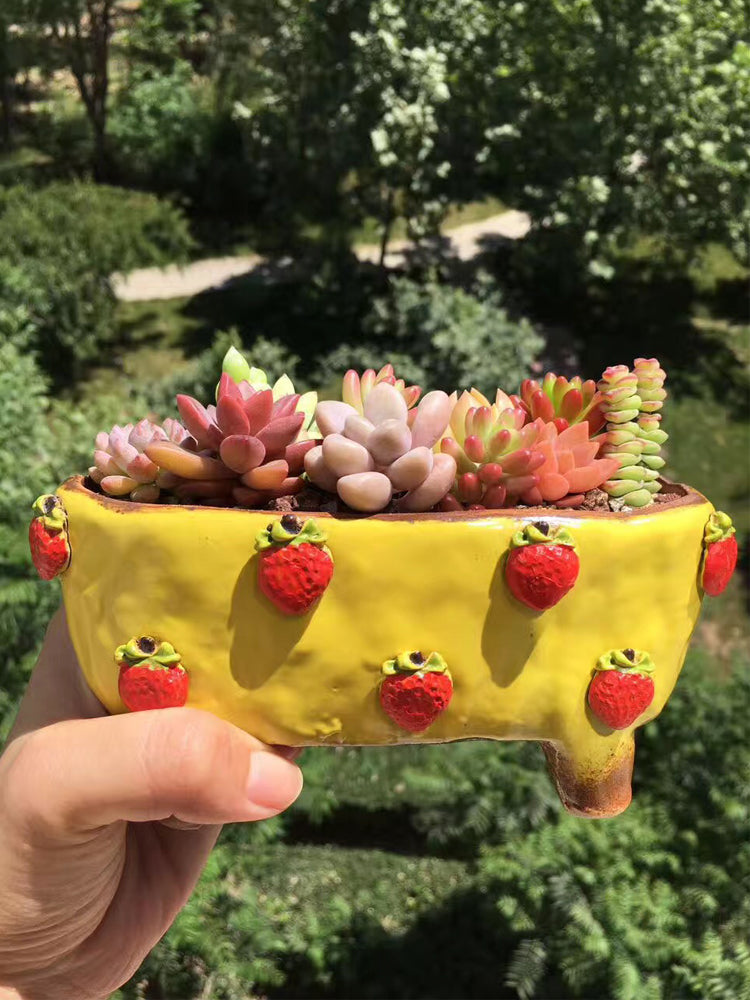 Strawberries and Springtime: Stoneware Succulent Plant Pot