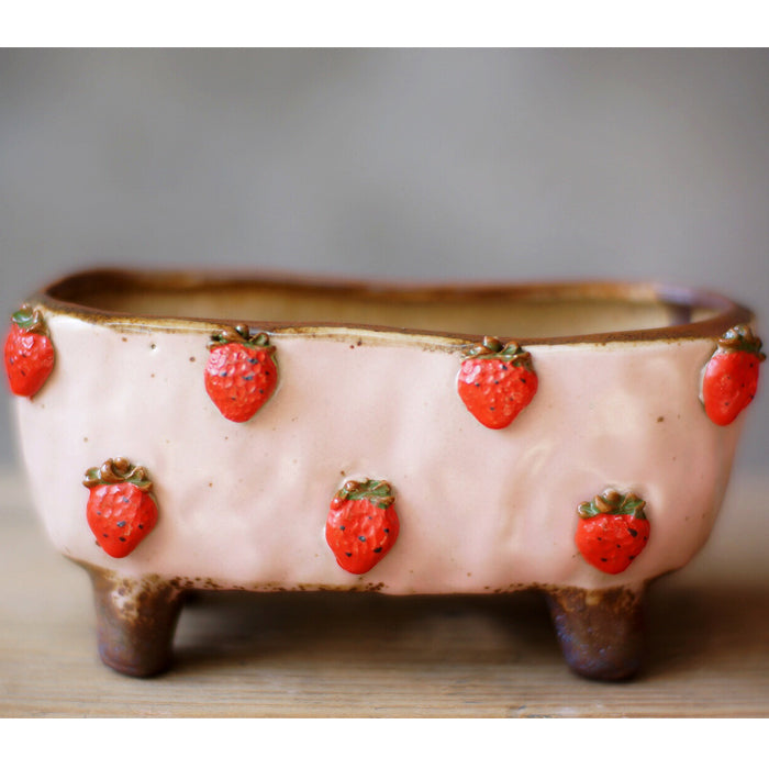 Strawberries and Springtime: Stoneware Succulent Plant Pot