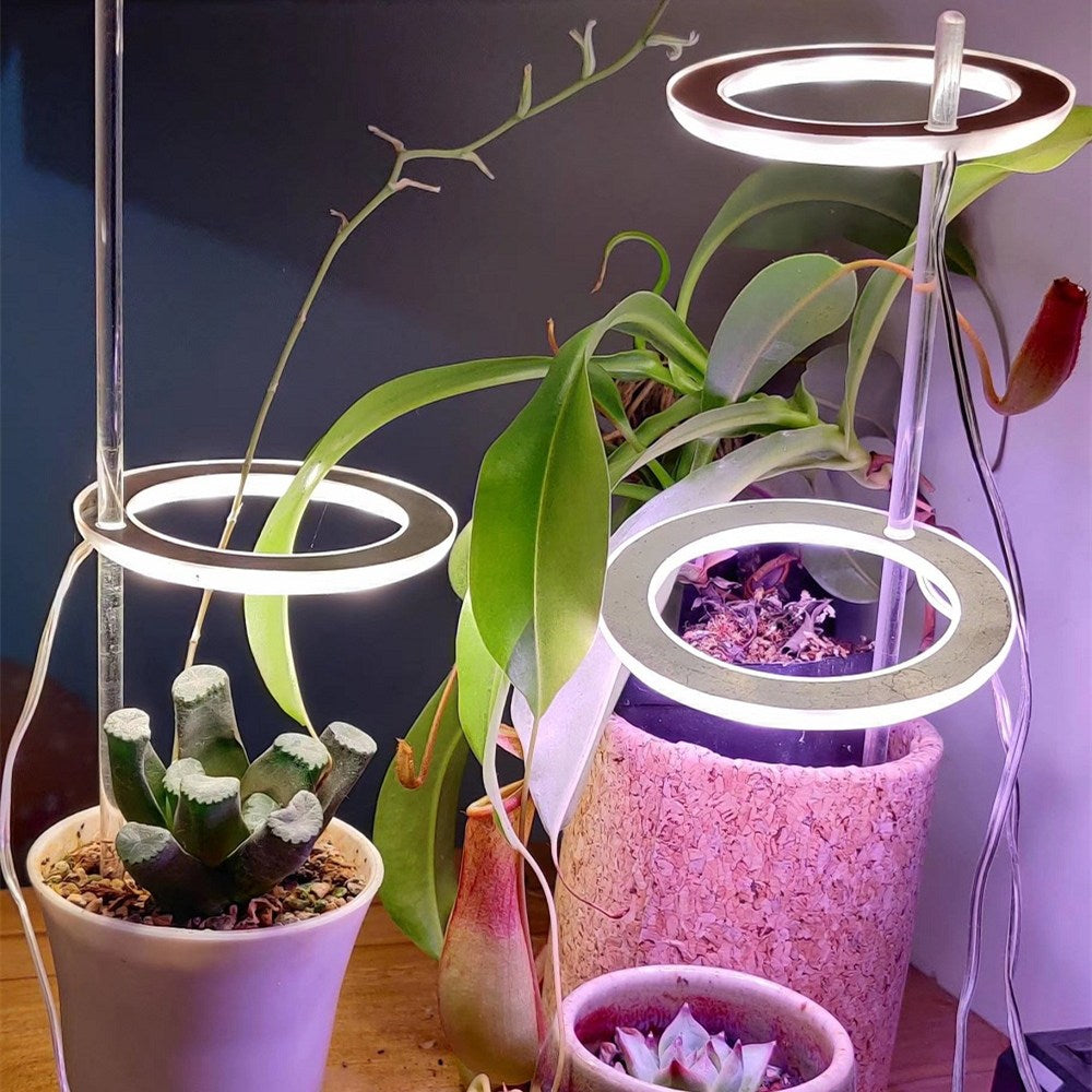 Angel Ring: Personal Grow Lights