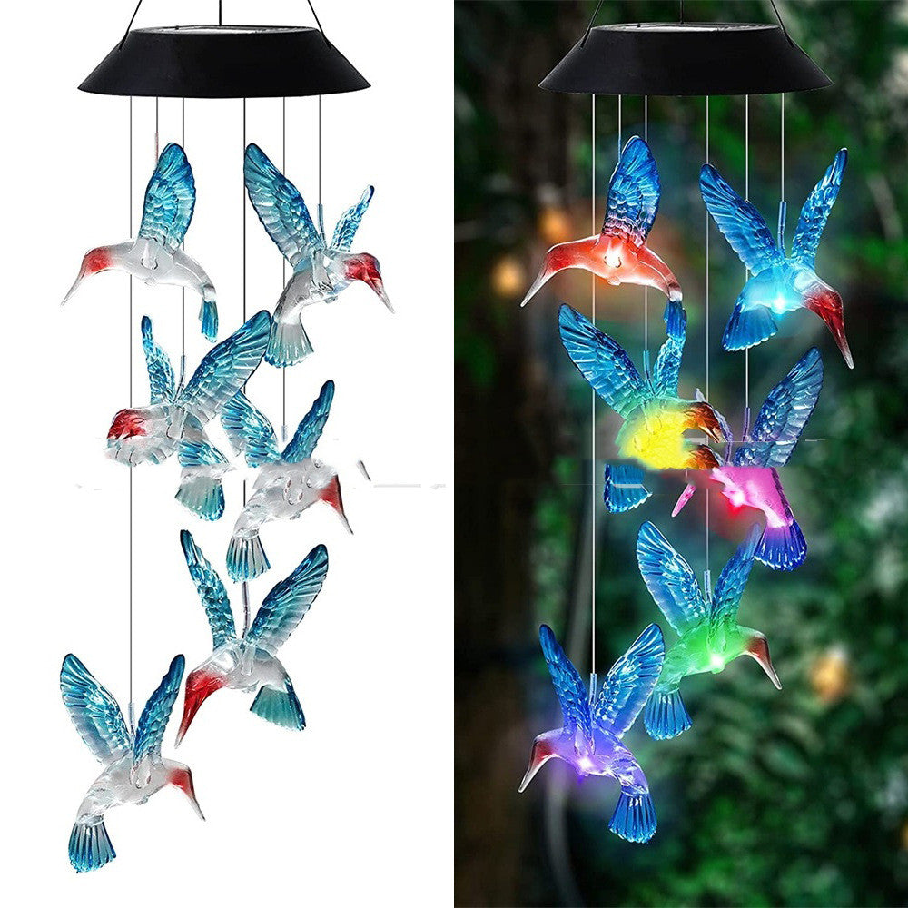 Hummingbird Designs: Solar Lights