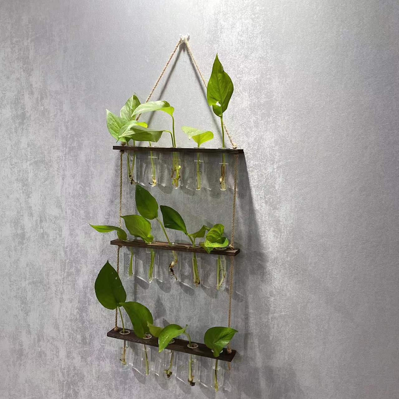 Hanging Gardens:  Propagation Station