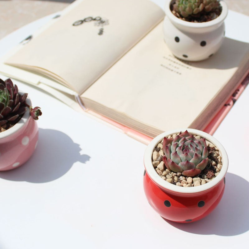 Little Dots: Ceramic Flower Pots