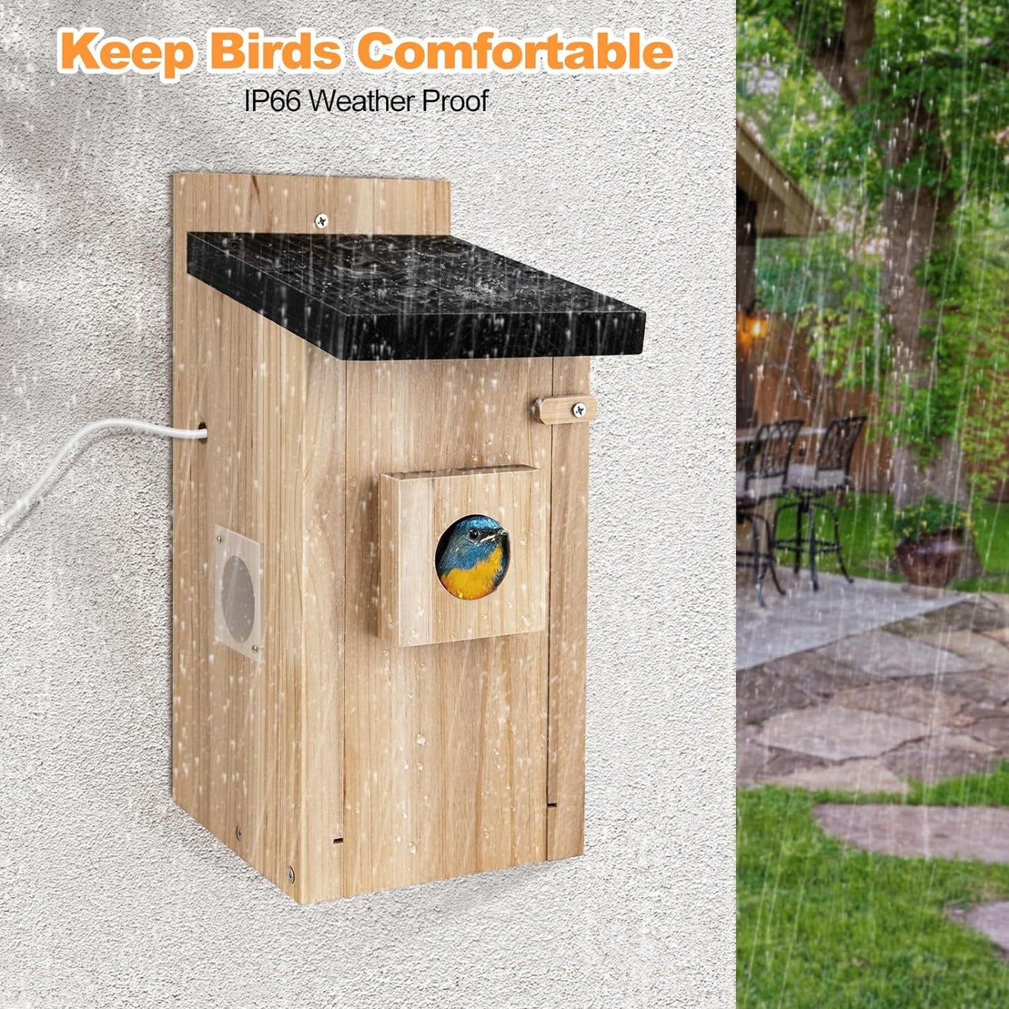 Smart Bird House With Camera