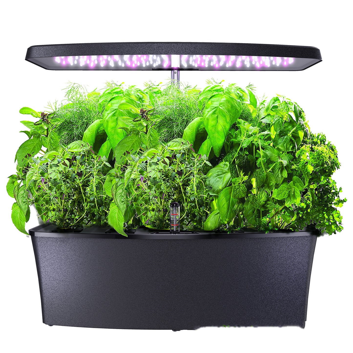 Smart Indoor Salad Planter and Herb Growing Kit