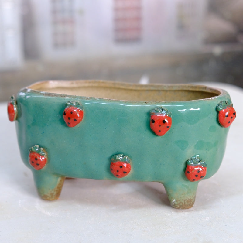 Strawberries and Springtime: Stoneware Succulent Plant Pot