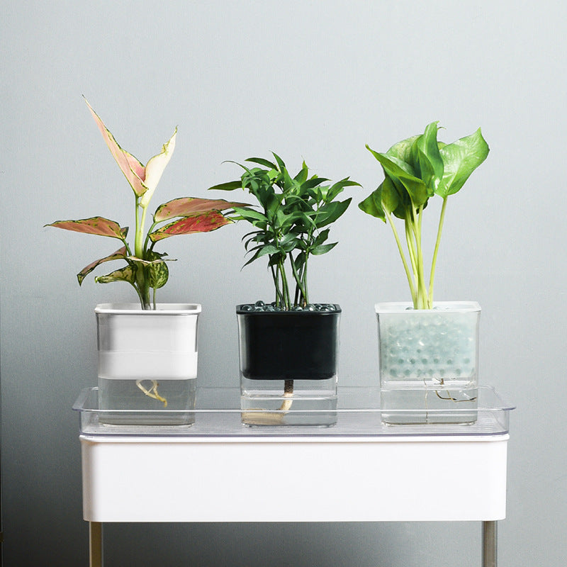 Simple Squares: Modern Dual Layer Flowerpot