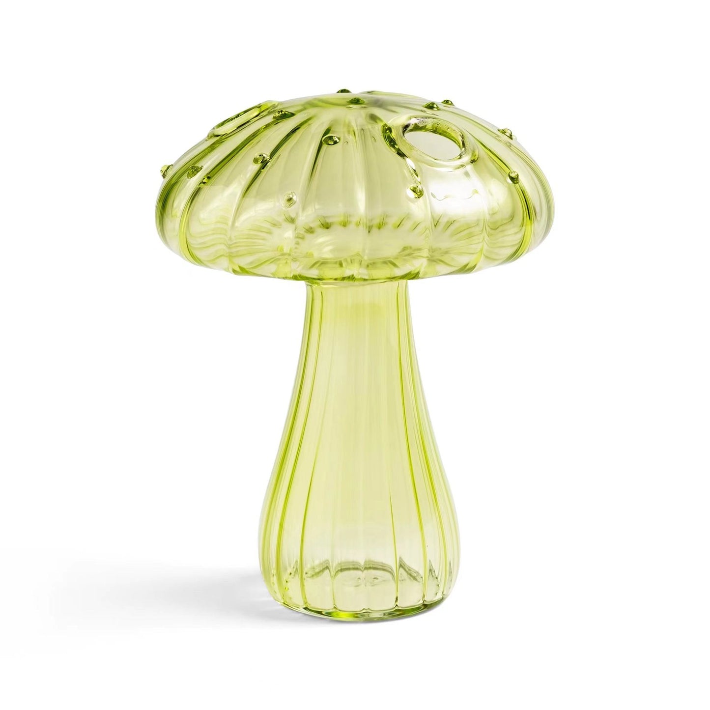 Mushrooms in Glass: Blossoms Vase Collection