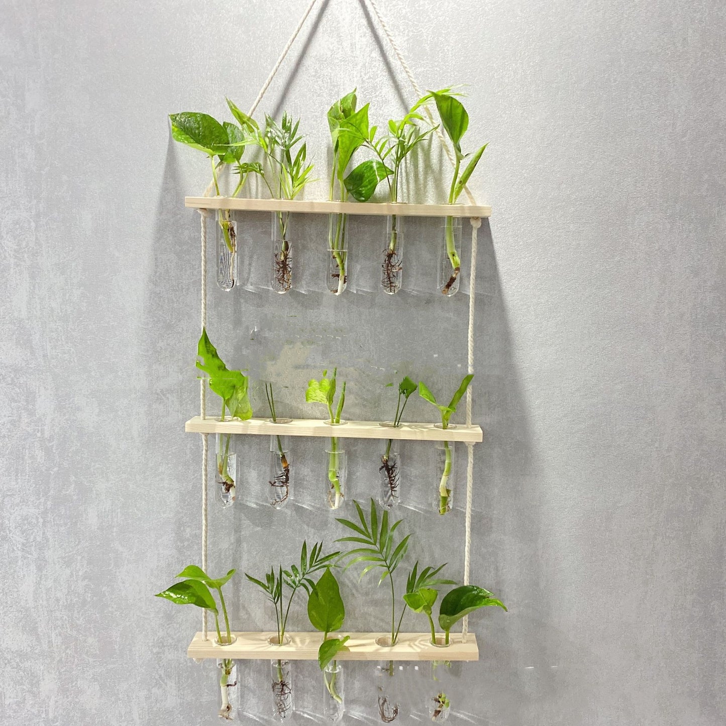 Hanging Gardens:  Propagation Station