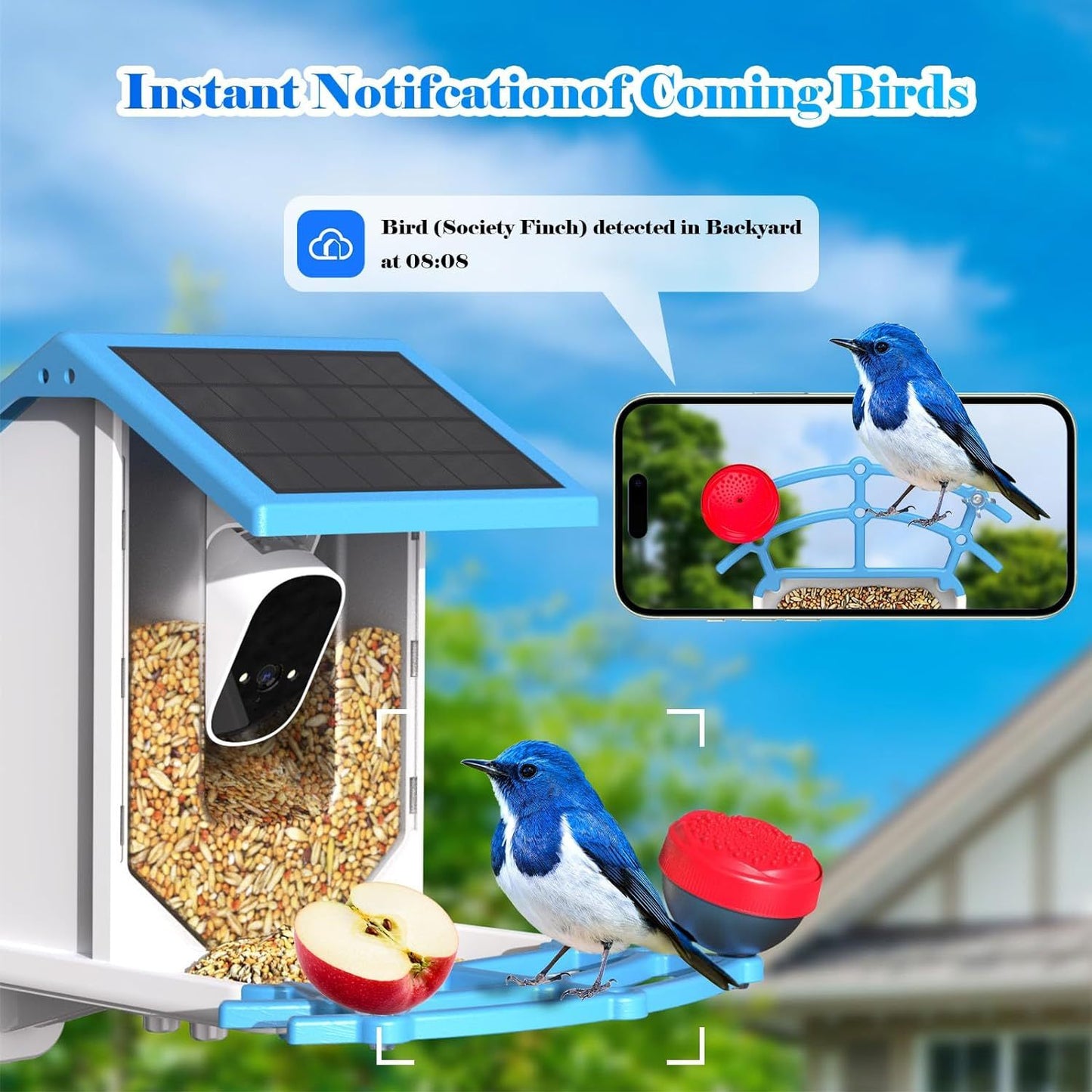 Smart Solar-Powered Bird Feeder With Camera