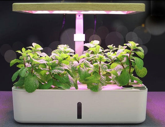 Automatic Premium Vegetable Grow Kit