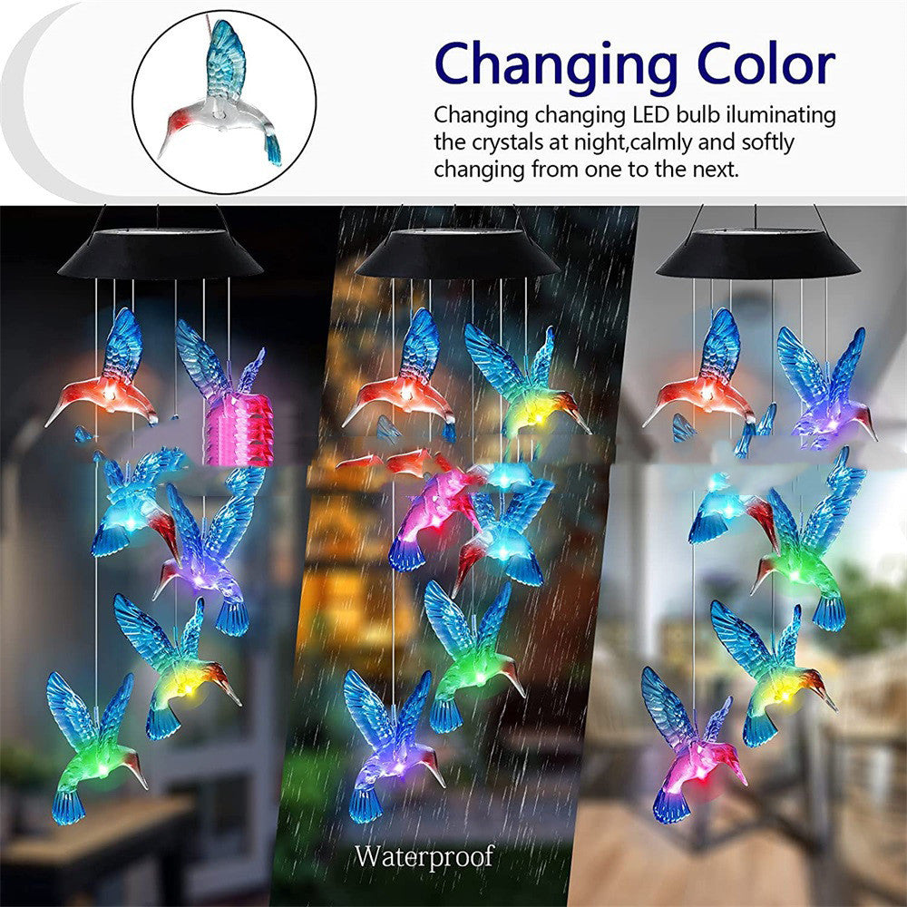 Hummingbird Designs: Solar Lights