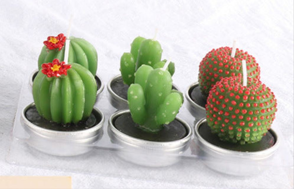 Succulent Cactus Candles