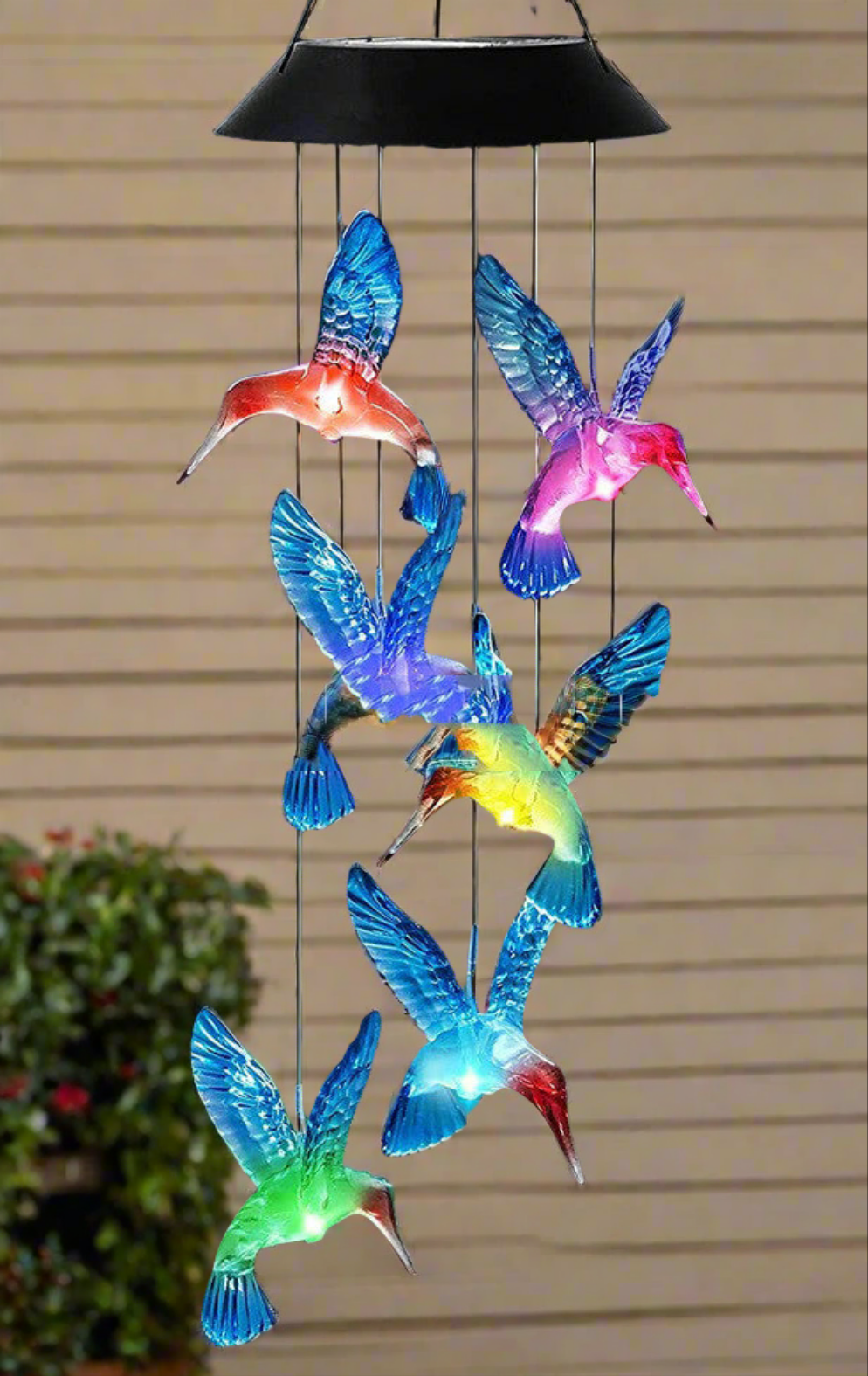 Hummingbird Designs: Solar Lights