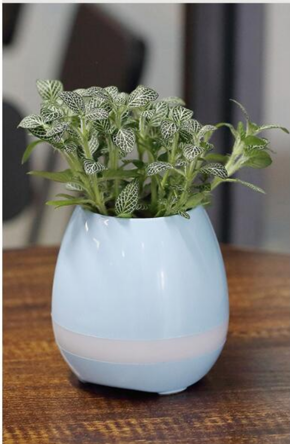 Bluetooth Speaker & Flowerpot Combo