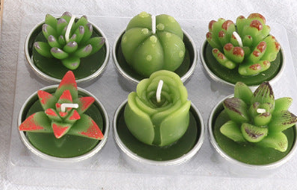 Succulent Cactus Candles