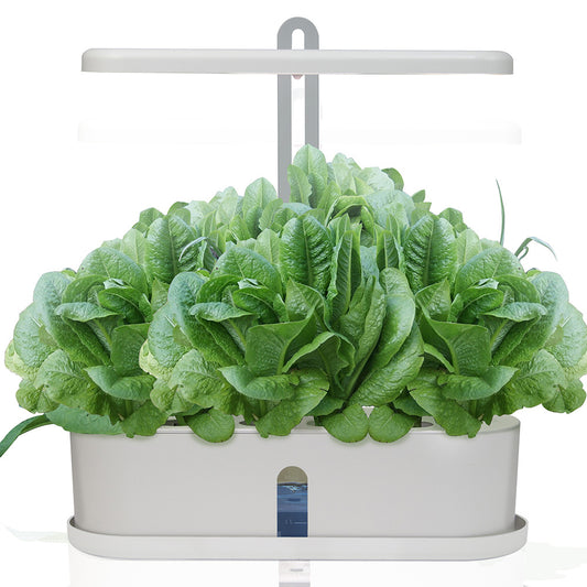 Fresh Herbs and Salads: Smart Grow Kit